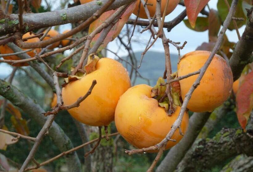 교외 호텔 La Fortezza Alta