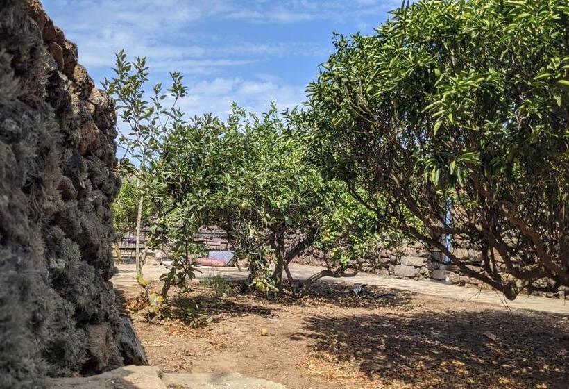 Bed and Breakfast Horizon Pantelleria