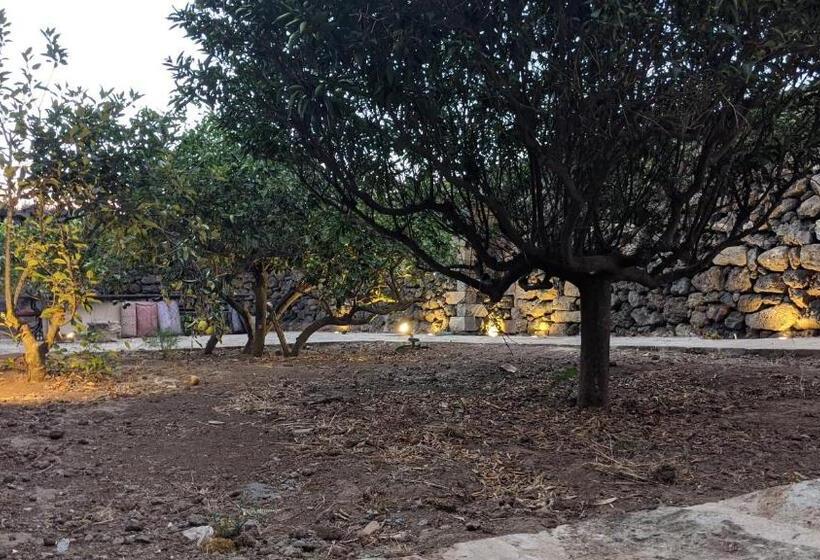 Bed and Breakfast Horizon Pantelleria