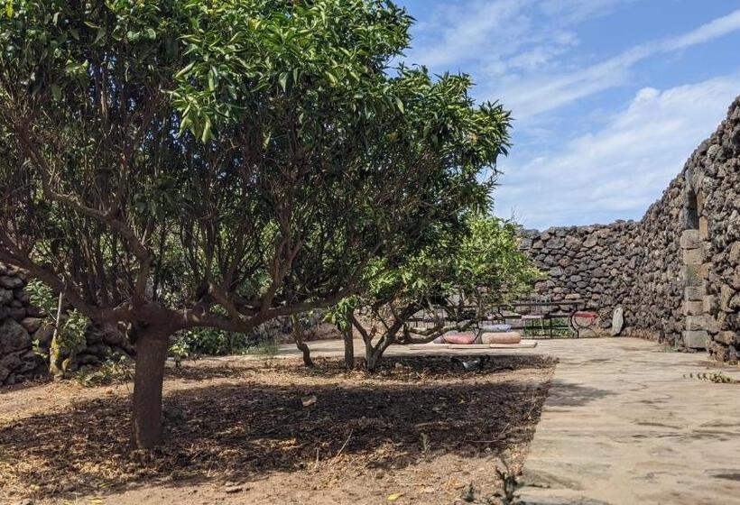 Bed and Breakfast Horizon Pantelleria