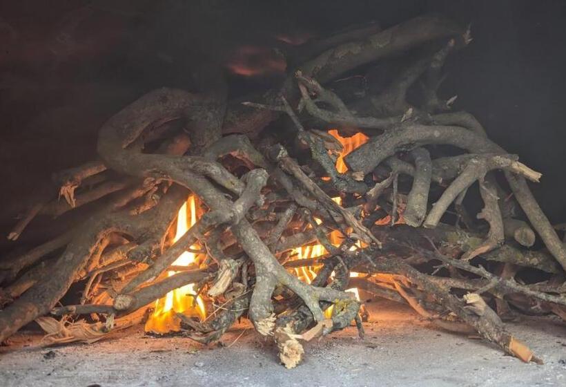 Bed and Breakfast Horizon Pantelleria