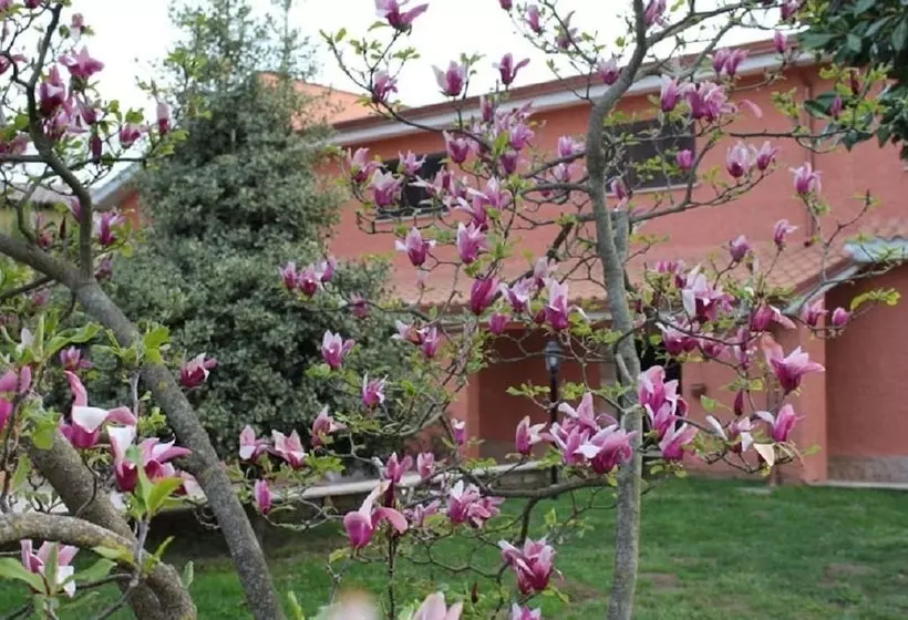 Aamiaismajoitus (B&B) Il Sottosopra