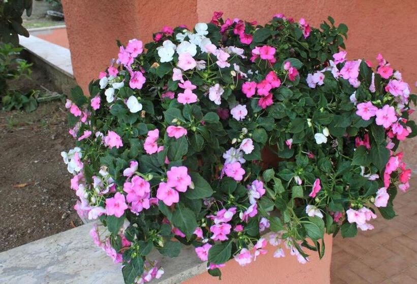 צימר Il Sottosopra