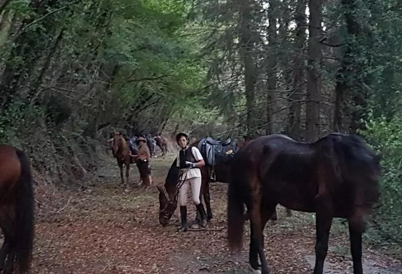 Ostello La Miniera