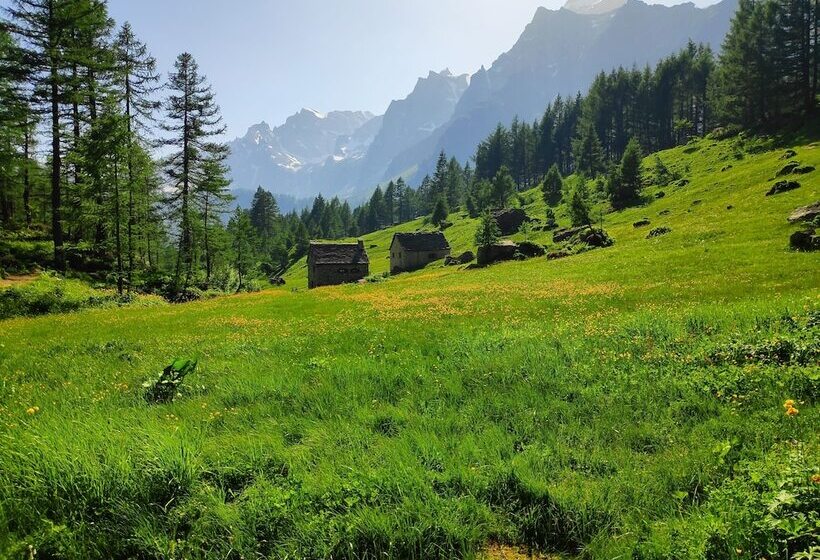 B&b Chalet Il Picchio