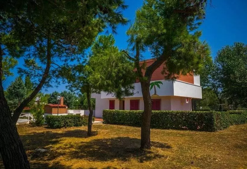 Aamiaismajoitus (B&B) Paradise Beb