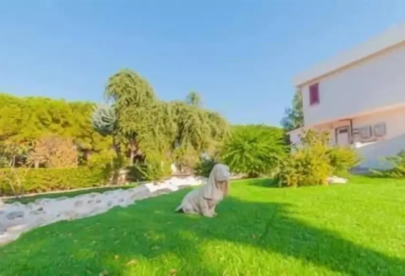 Aamiaismajoitus (B&B) Paradise Beb