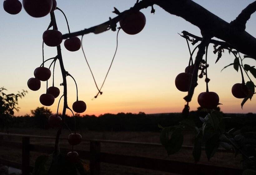 田舎風ホテル Iazzo Annunziatella