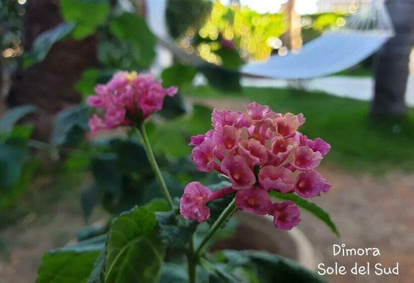 住宿加早餐 Dimora Sole Del Sud