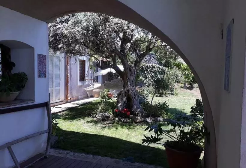 ベッドアンドブレックファースト La Casa Del Panorama