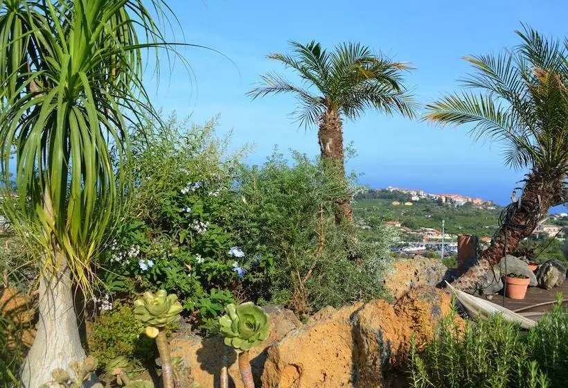 ベッドアンドブレックファースト La Casa Del Panorama