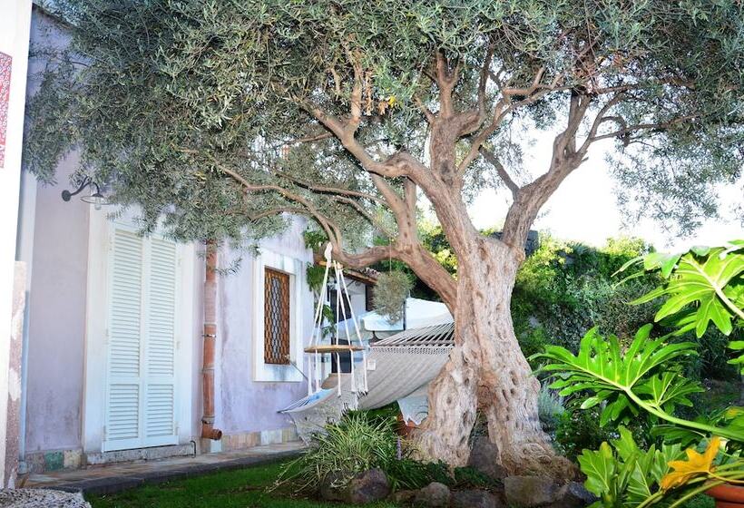 مبيت وإفطار La Casa Del Panorama