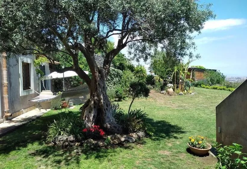 ベッドアンドブレックファースト La Casa Del Panorama