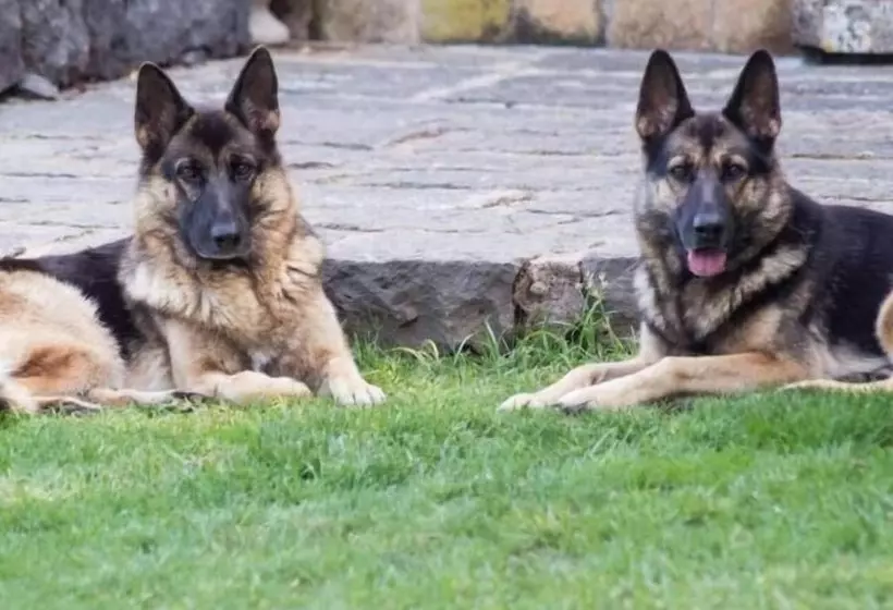 ベッドアンドブレックファースト La Casa Del Panorama