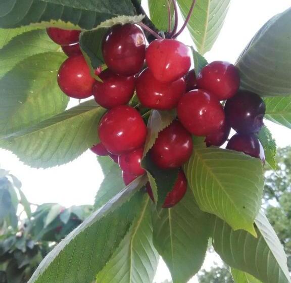 住宿加早餐  Supramurgia Agribistrot