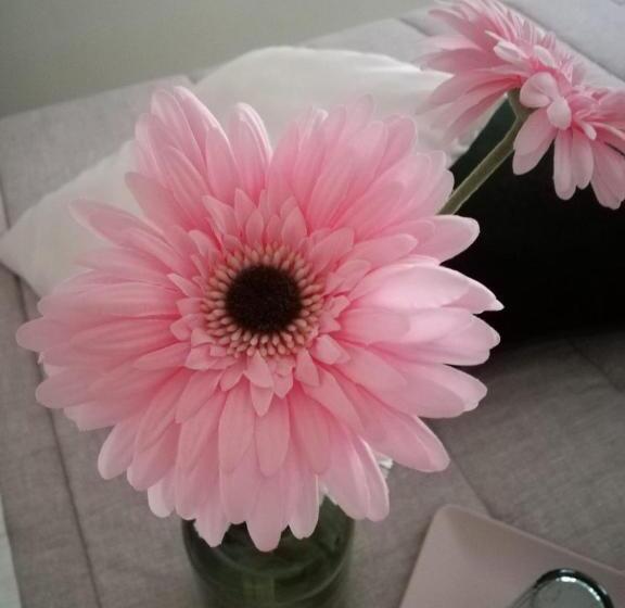 住宿加早餐  Supramurgia Agribistrot