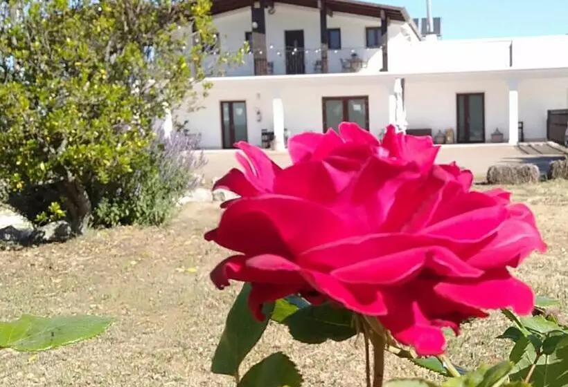 Aamiaismajoitus (B&B) Supramurgia Agribistrot