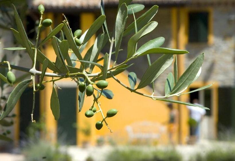 Country House Il Sassòne