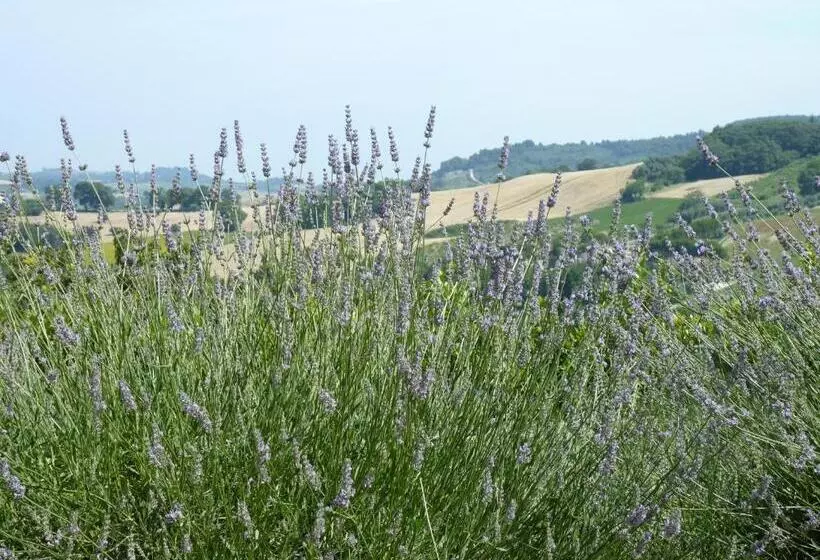 Country House Il Sassòne