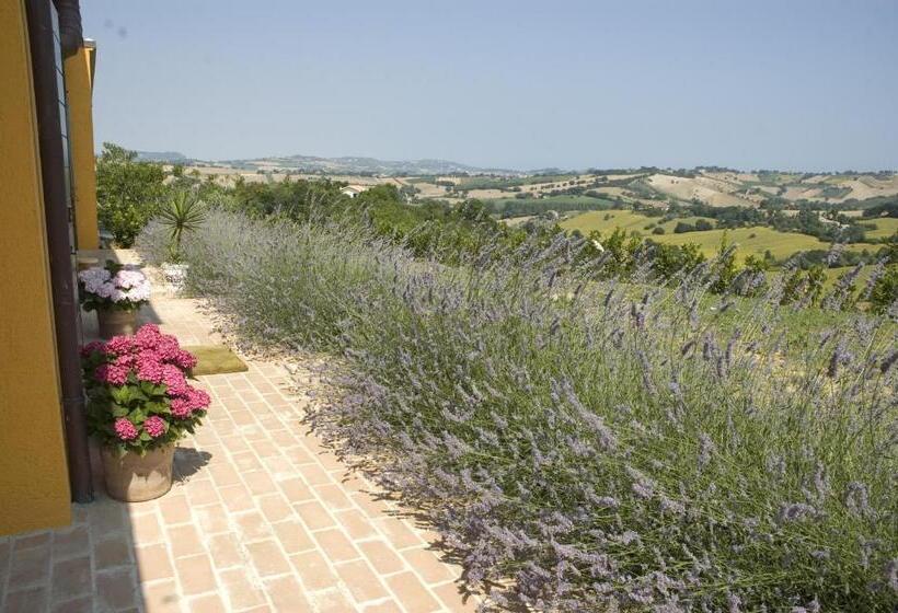 Country House Il Sassòne