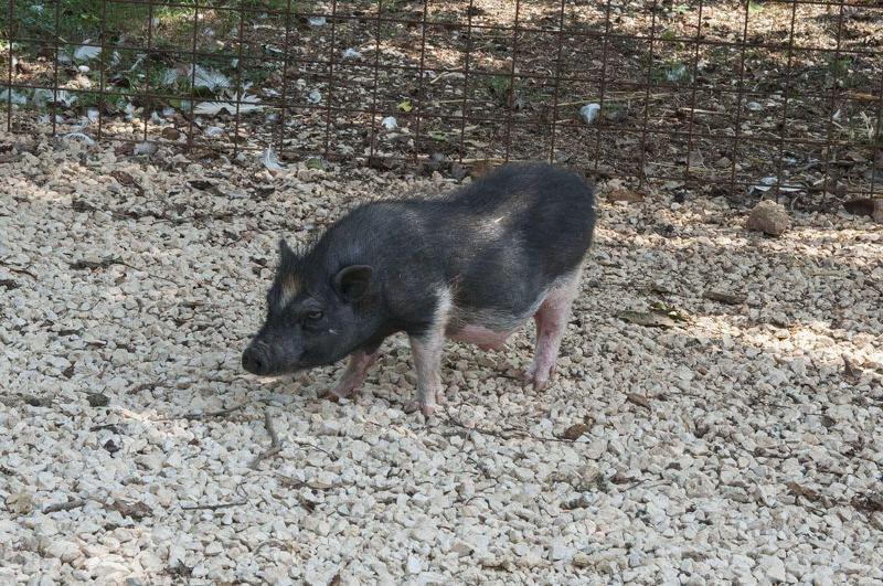 Agriturismo Kelle Terre