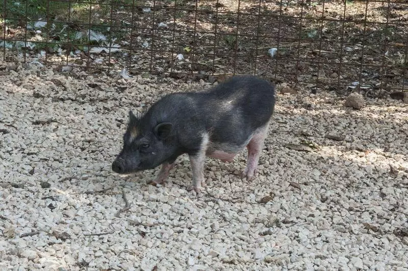 Agriturismo Kelle Terre