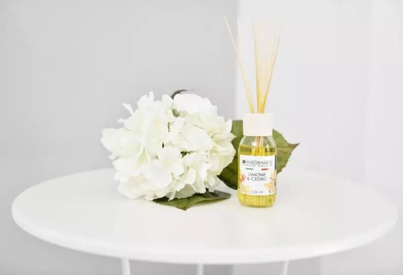 Aamiaismajoitus (B&B) Insula House