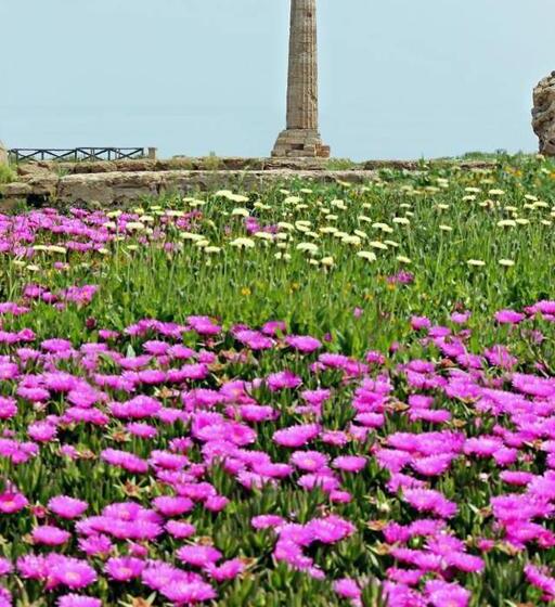 تختخواب و صبحانه Isabel