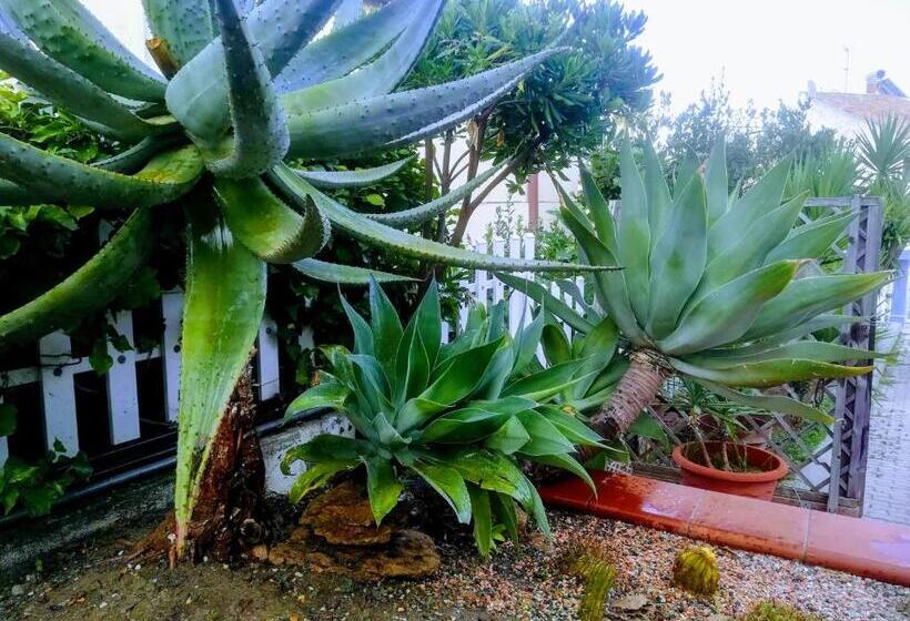 تختخواب و صبحانه Isabel