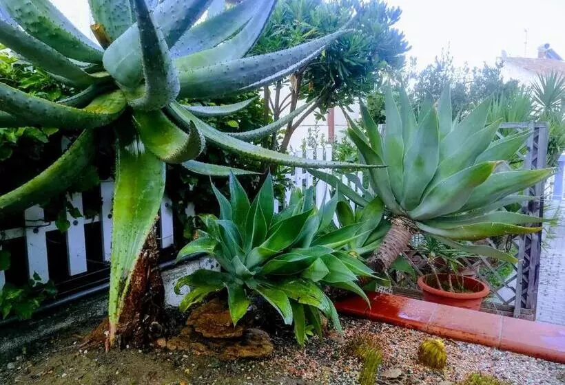 تختخواب و صبحانه Isabel