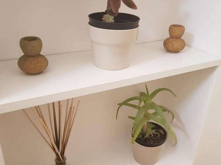 پانسیون Sea And Tradition B&b