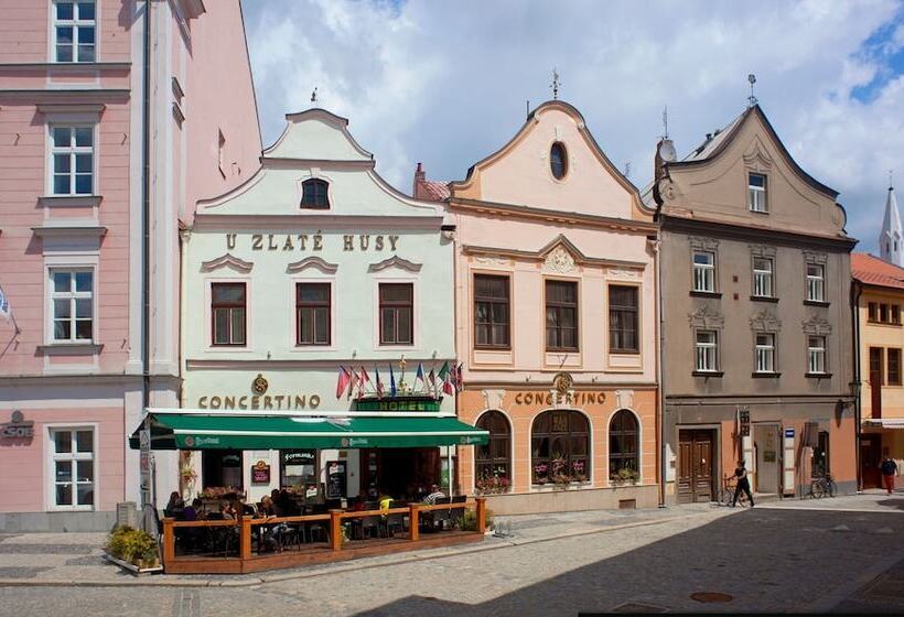 בית מלון כפרי Concertino Zlata Husa