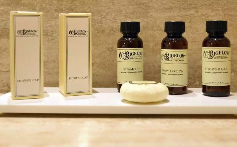 Отель Firenze E Continentale