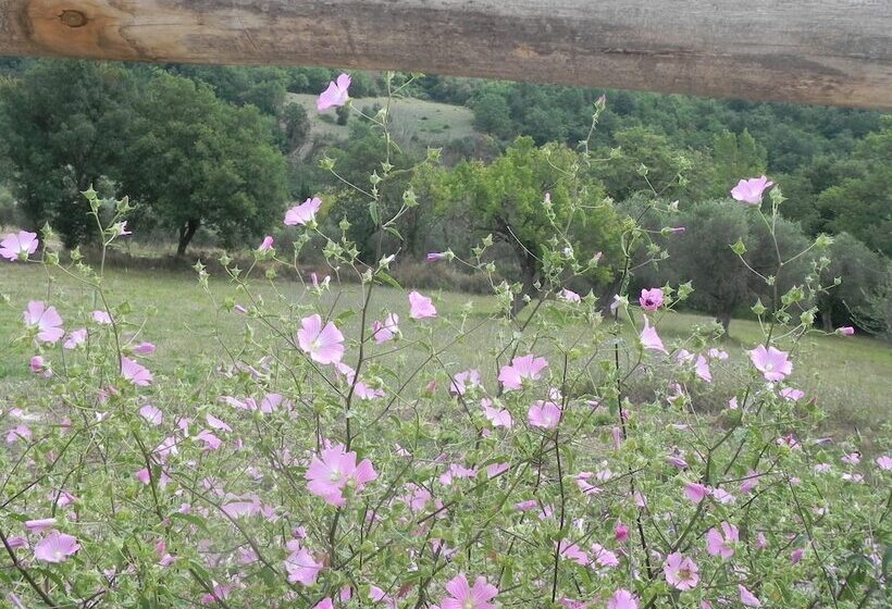 B&b Il Rifugio Di Nino