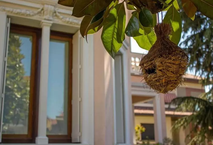 Bed and Breakfast Villa Le Rondini