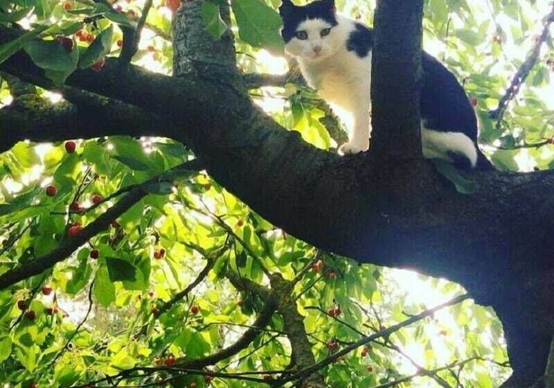 هتل Agriturismo Il Trebbio