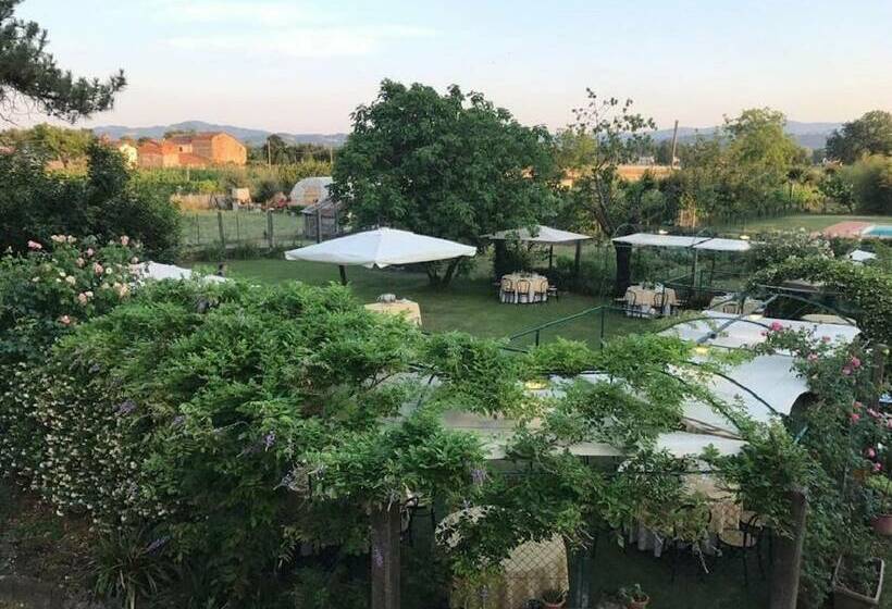 هتل Agriturismo Il Trebbio