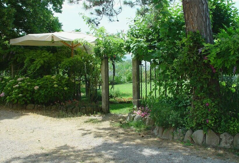 هتل Agriturismo Il Trebbio