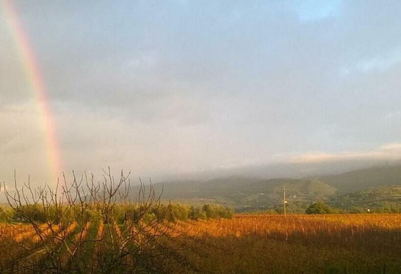 乡村酒店 Agriturismo Sovanella