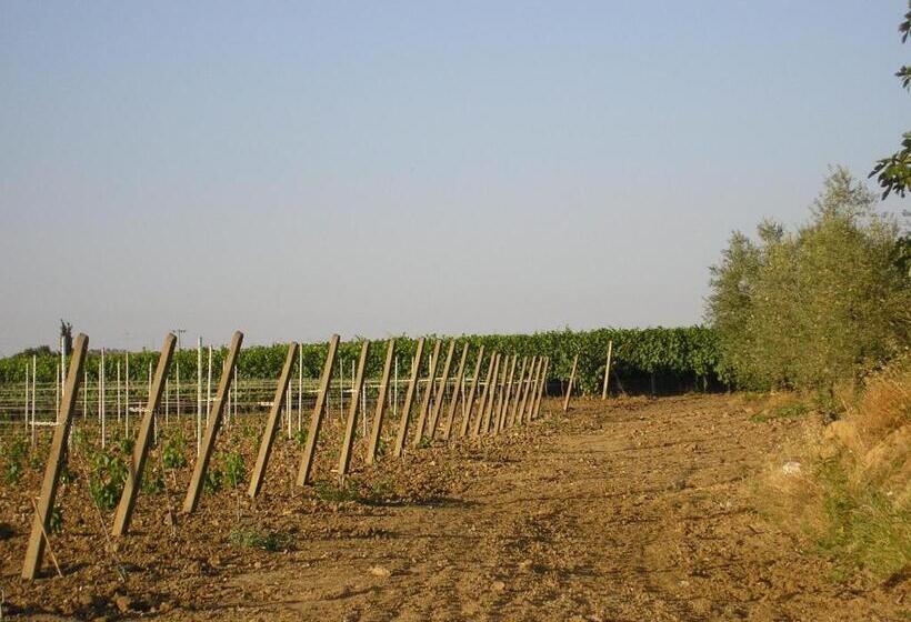 乡村酒店 Agriturismo Sovanella