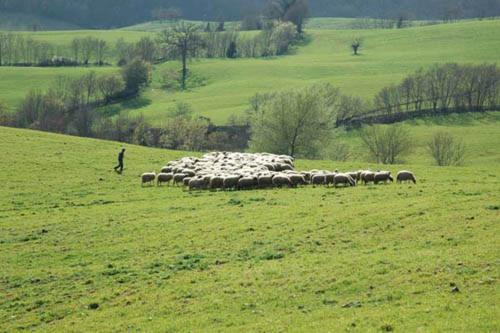 בית מלון כפרי Poggio Al Vento