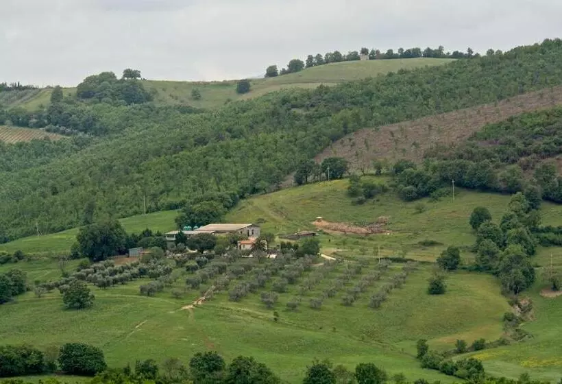 田舎風ホテル Poggio Al Vento