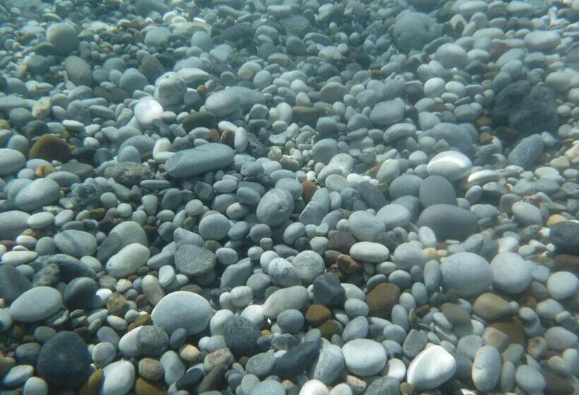 호텔 Albergo Marla