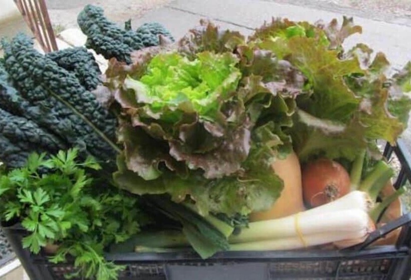 Сельский отель Agriturismo Casa Piccini