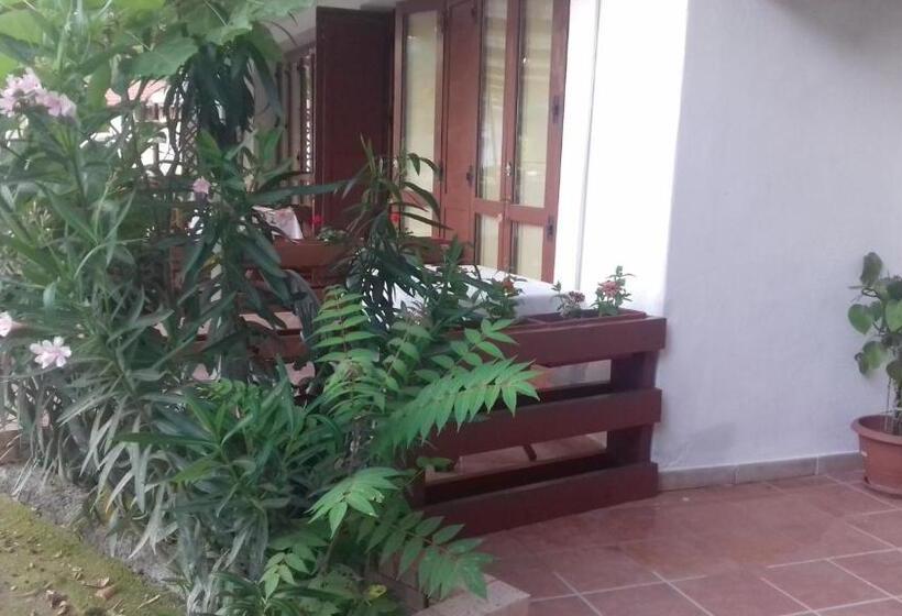 Bed and Breakfast A Casa Di Nené