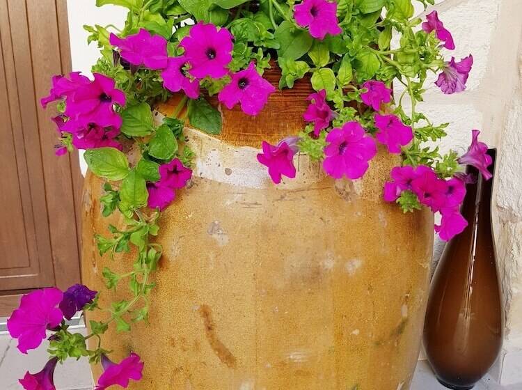 تختخواب و صبحانه Salento Ada S House