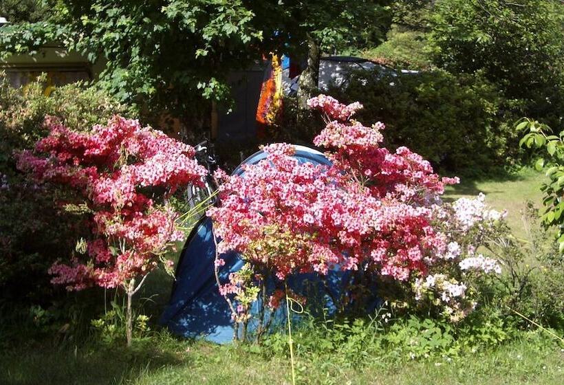 هتل Camping Valle Romantica