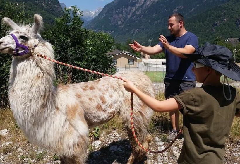 ホテル Monte Giove