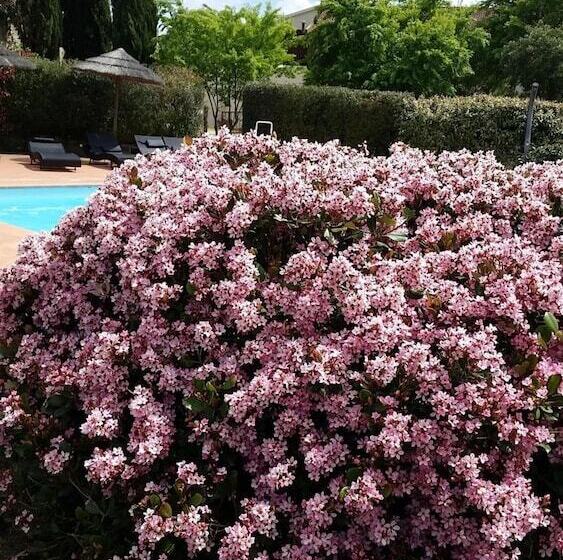 בית מלון כפרי Agriturismo Bonzalone