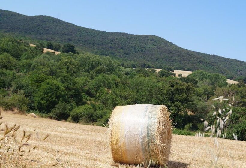 בית מלון כפרי Agriturismo Bonzalone